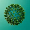 VIRUS