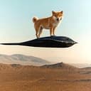 doge ascen