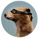 MaskedBear