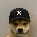 𝕏dog