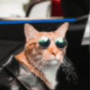 Meowmy