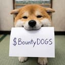 BountyDOGS