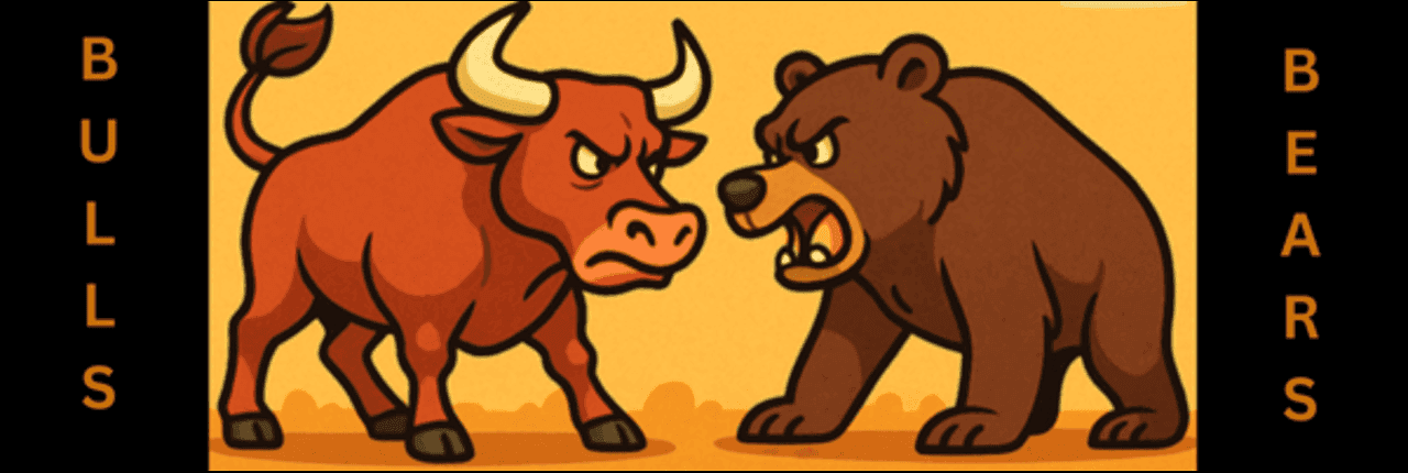 Bulls vs Bears Banner