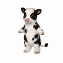 cashcow