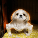 라운찬
