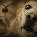 PTSD