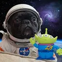 OSCAR
