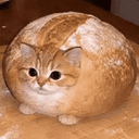 breadcat