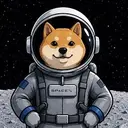 SPCXDOGE
