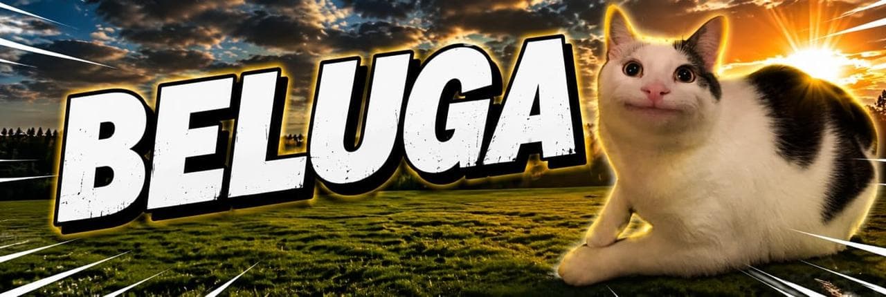 Beluga Banner