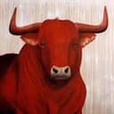 Maybull
