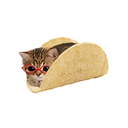 tacocat