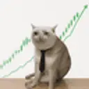 stockcat