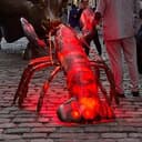 LOBSTER
