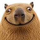 Happy