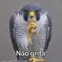 falcão