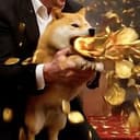 4dog