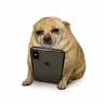 DEBTDOG