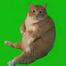 Chonk