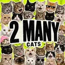 2MANY