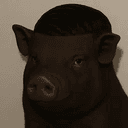 PIGGER