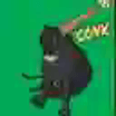 CONK