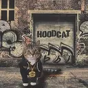 HOODCAT