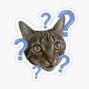 QCAT