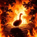 Goosey