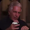 FEEL