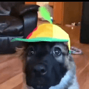 pwopeller