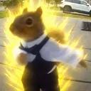 BELKA