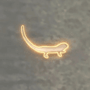 Lizard