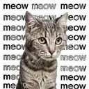 meow