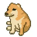 CashDog