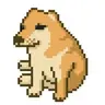 CashDog