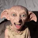 Felipe