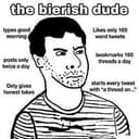 BIERISH