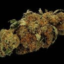 Weed