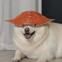CRABHAT