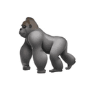 ape