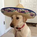 sombrero