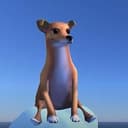 wisdog