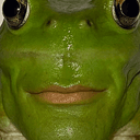 FROD