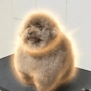 Chiro