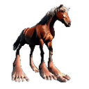 HORSE