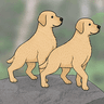 PDOGS