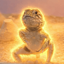 Lizard
