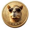 CAMY