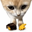 Brokecat